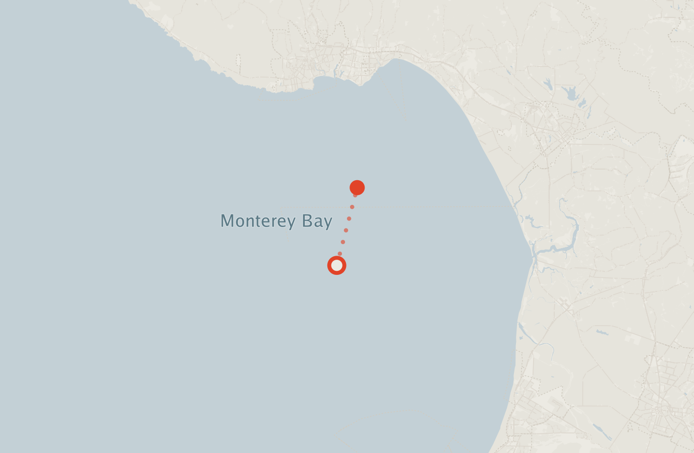 Activity map — real sighting points on an OpenStreetMap basemap