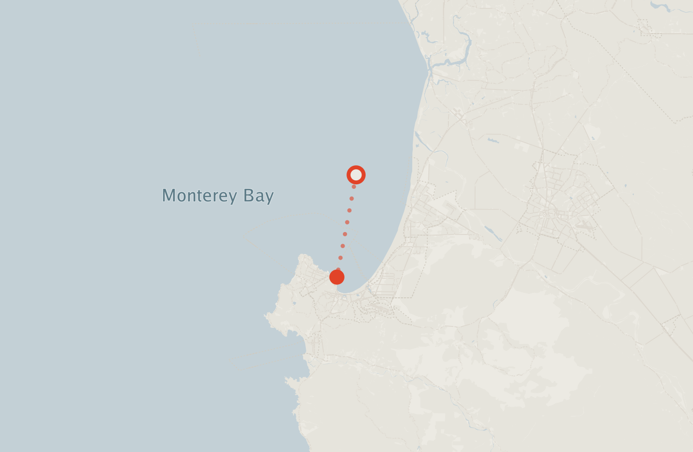 Activity map — real sighting points on an OpenStreetMap basemap