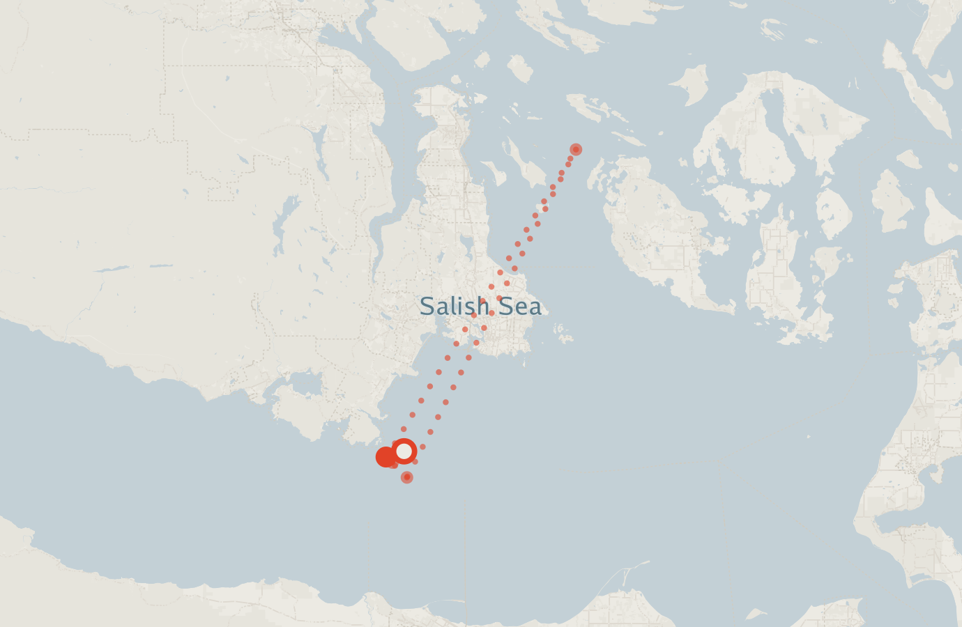 Activity map — real sighting points on an OpenStreetMap basemap