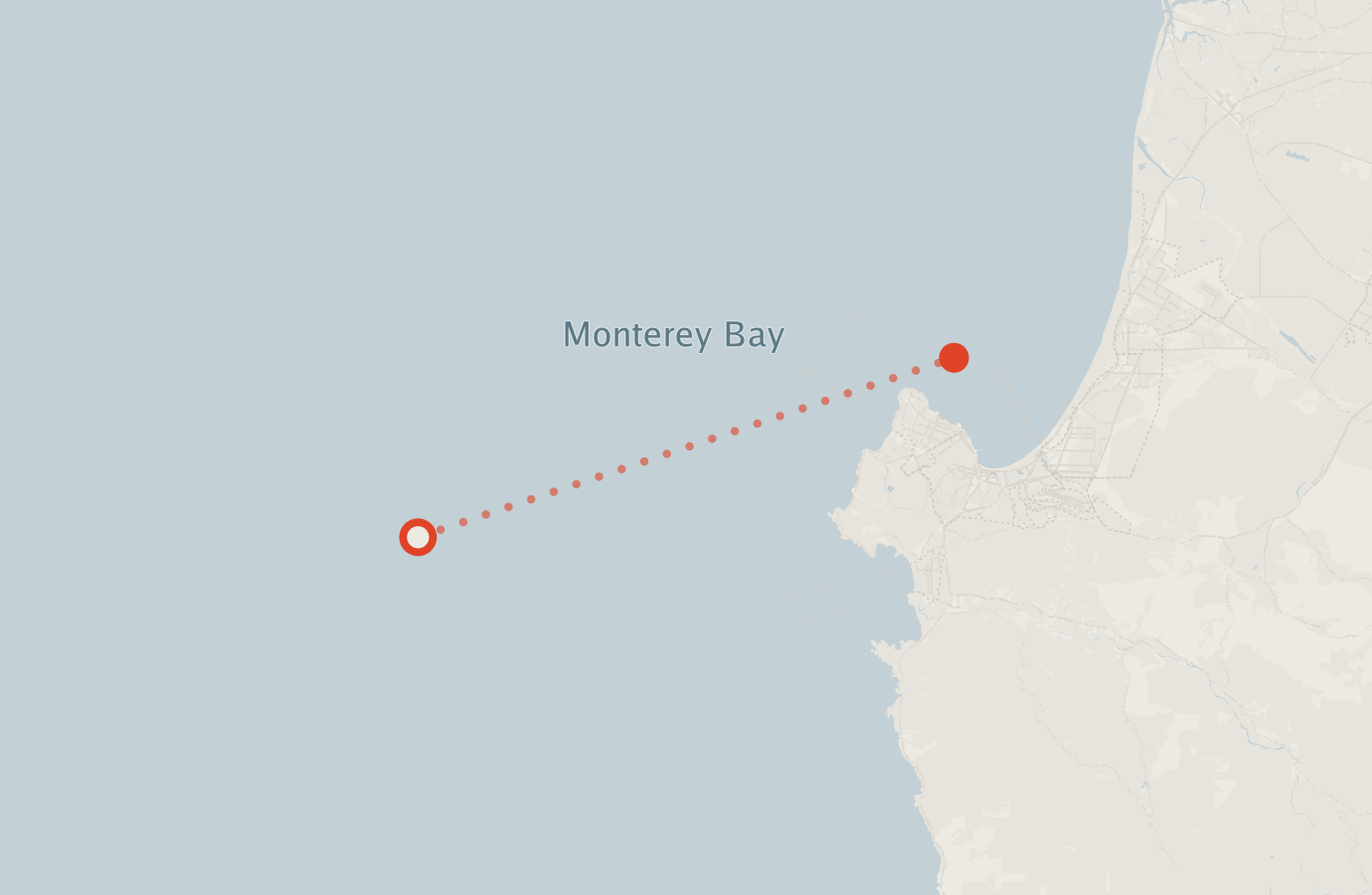 Activity map — real sighting points on an OpenStreetMap basemap