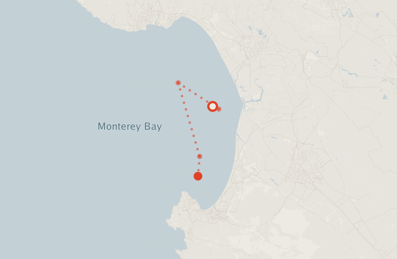 Activity map — real sighting points on an OpenStreetMap basemap