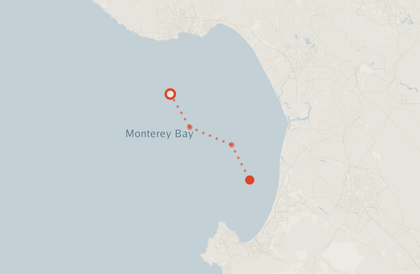 Activity map — real sighting points on an OpenStreetMap basemap