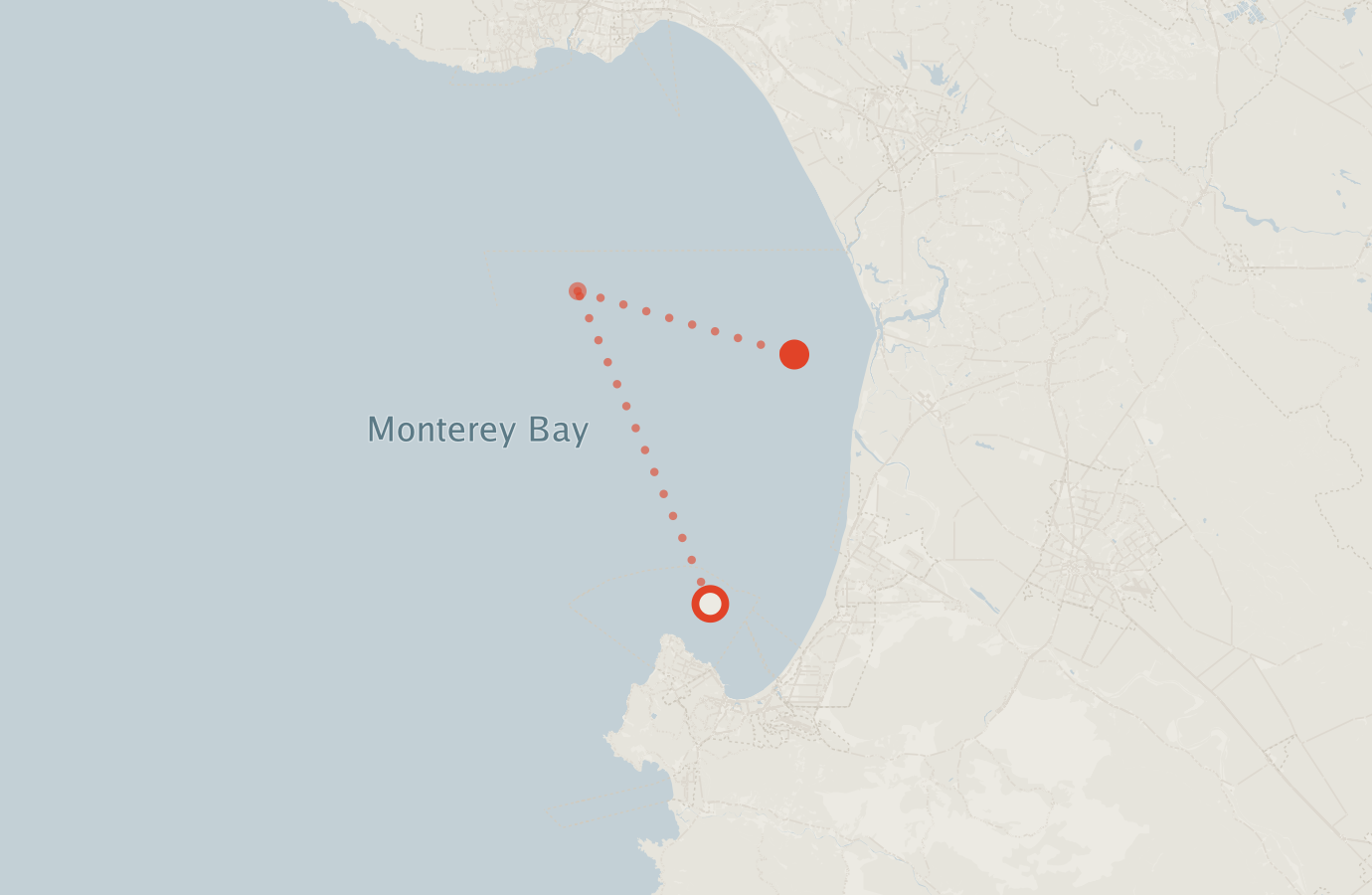 Activity map — real sighting points on an OpenStreetMap basemap