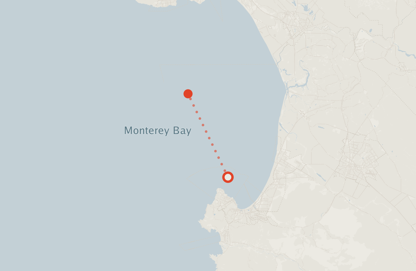 Activity map — real sighting points on an OpenStreetMap basemap