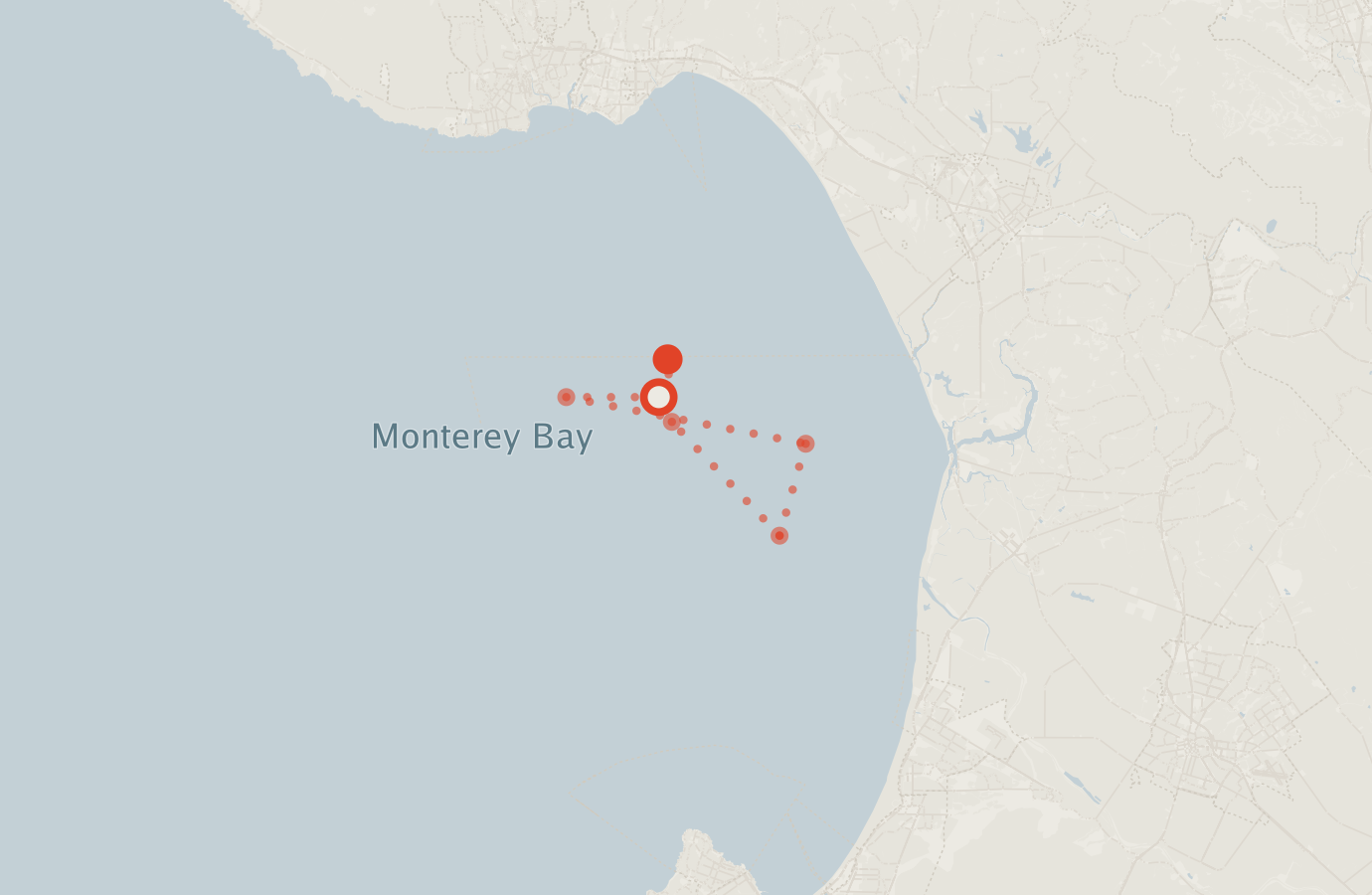 Activity map — real sighting points on an OpenStreetMap basemap