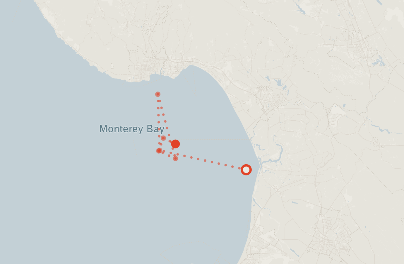 Activity map — real sighting points on an OpenStreetMap basemap