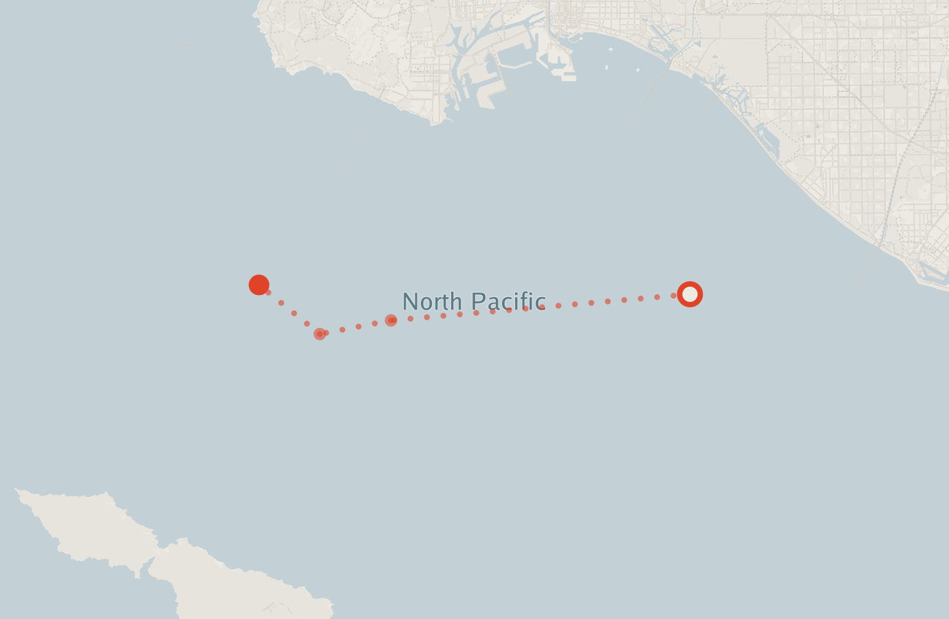 Activity map — real sighting points on an OpenStreetMap basemap