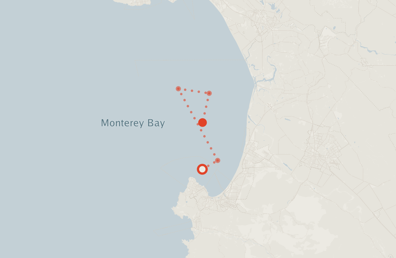 Activity map — real sighting points on an OpenStreetMap basemap