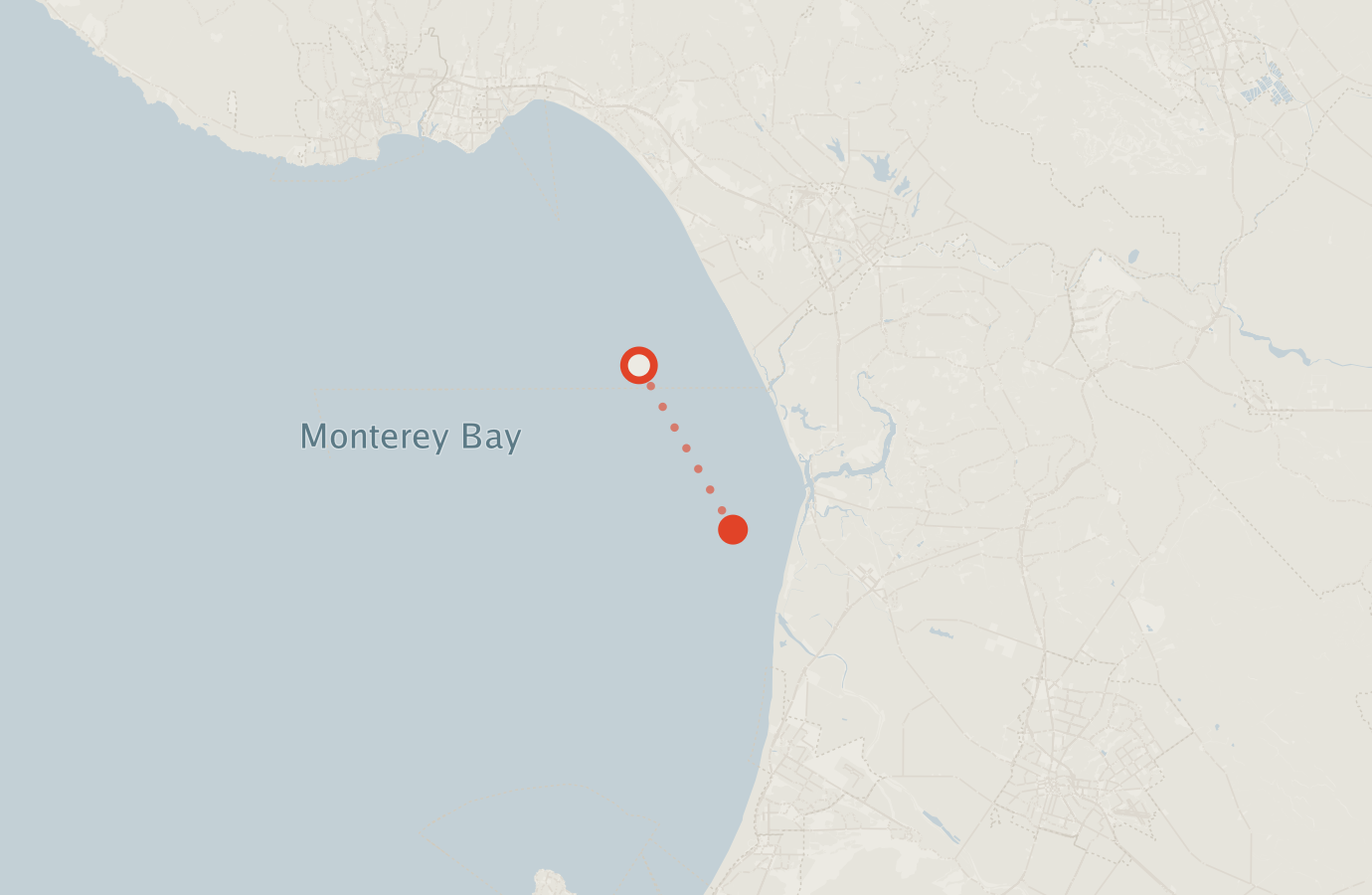 Activity map — real sighting points on an OpenStreetMap basemap