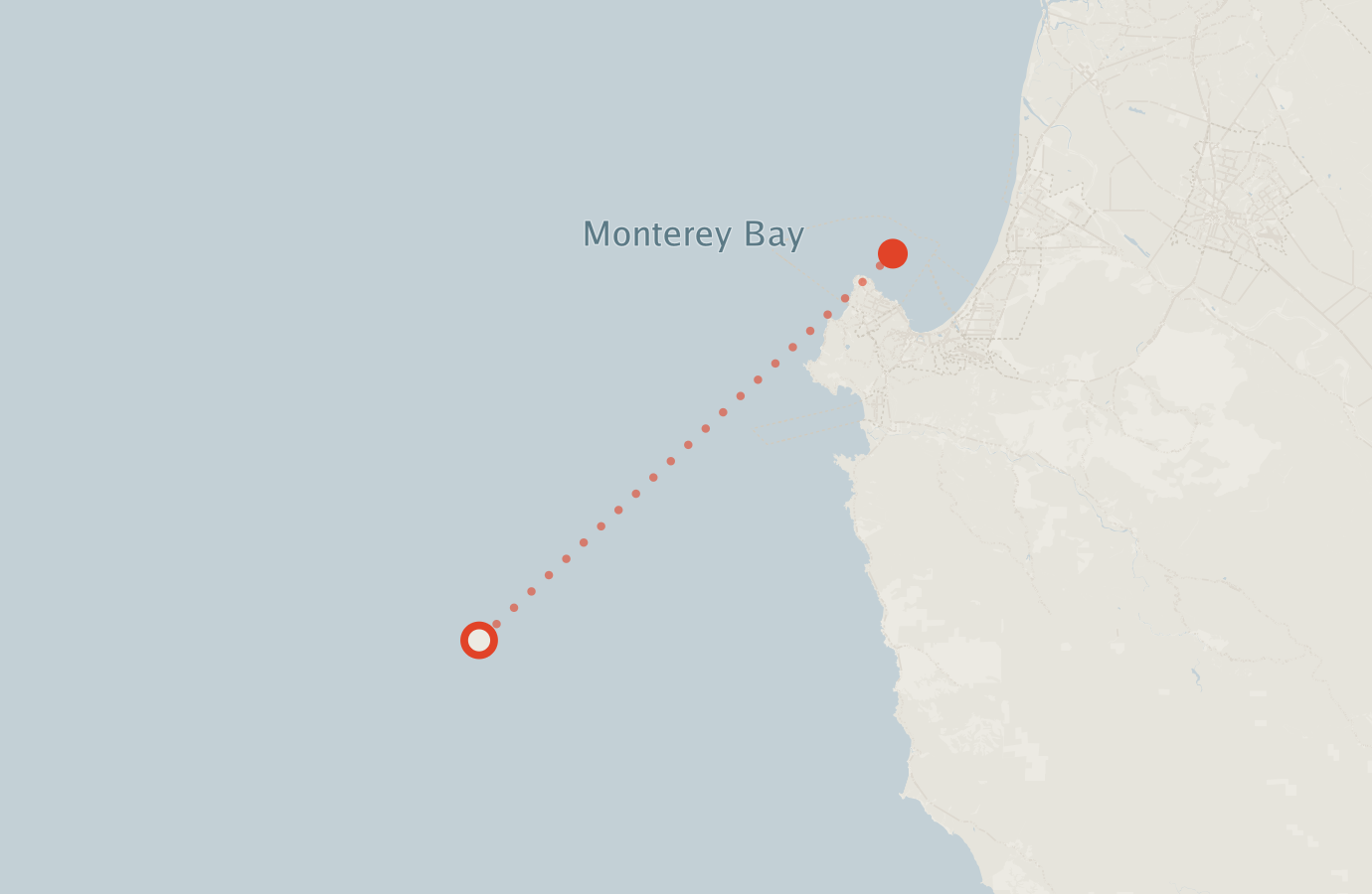 Activity map — real sighting points on an OpenStreetMap basemap