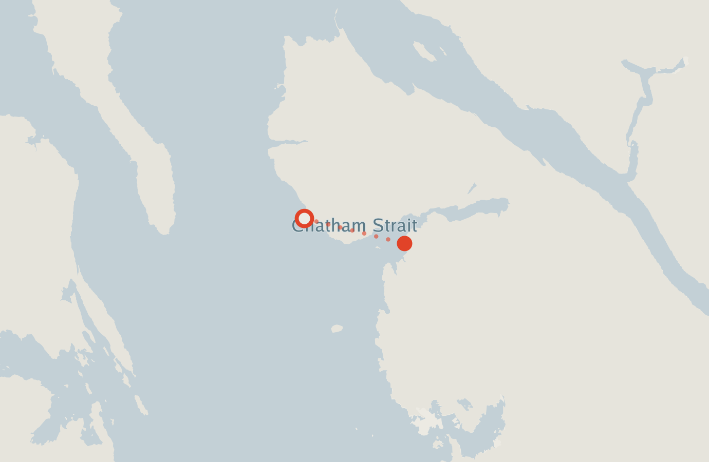 Activity map — real sighting points on an OpenStreetMap basemap