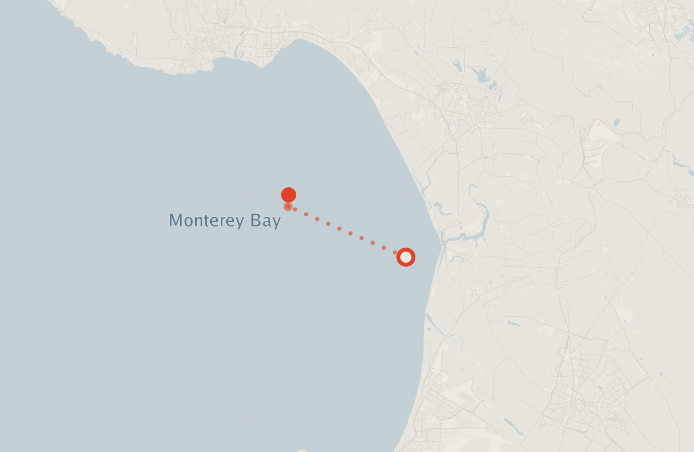 Activity map — real sighting points on an OpenStreetMap basemap