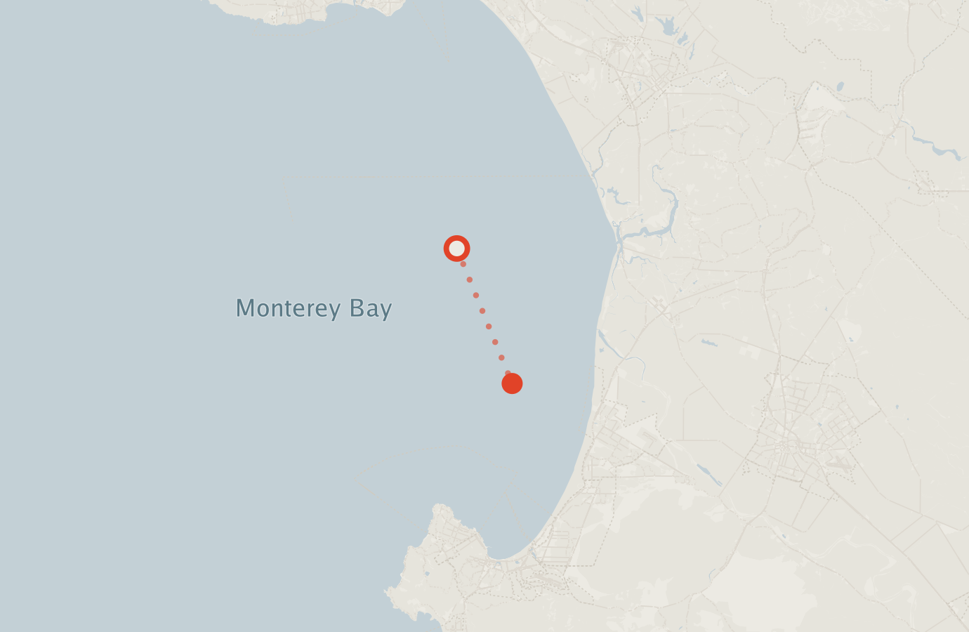 Activity map — real sighting points on an OpenStreetMap basemap