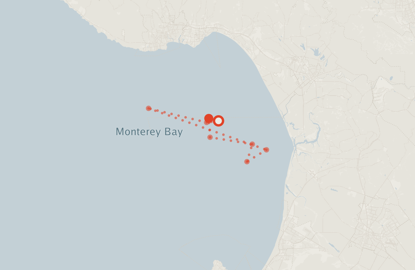 Activity map — real sighting points on an OpenStreetMap basemap