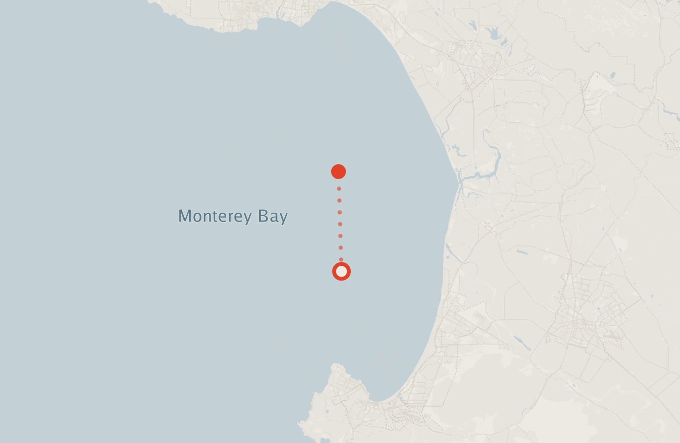 Activity map — real sighting points on an OpenStreetMap basemap