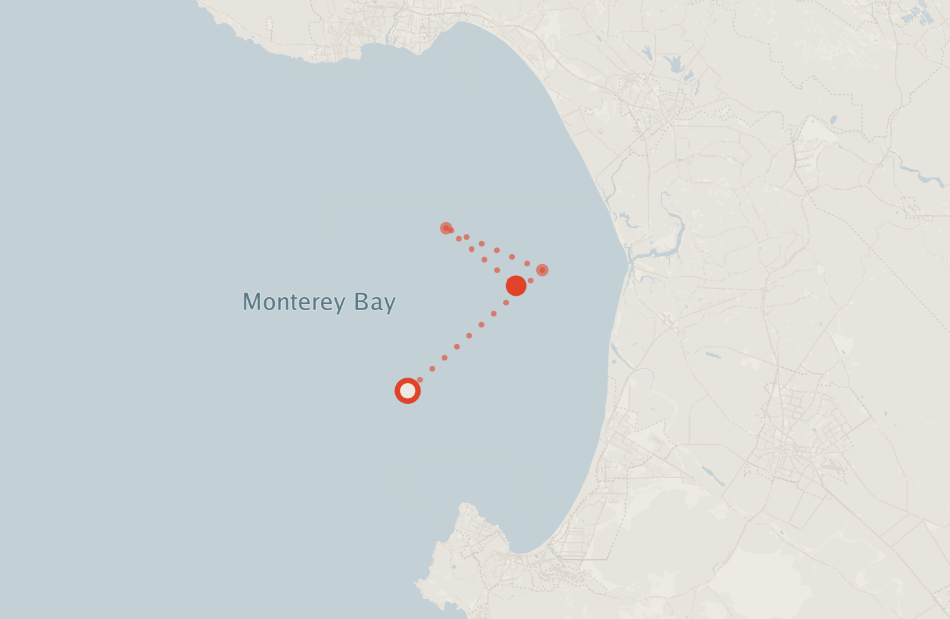 Activity map — real sighting points on an OpenStreetMap basemap