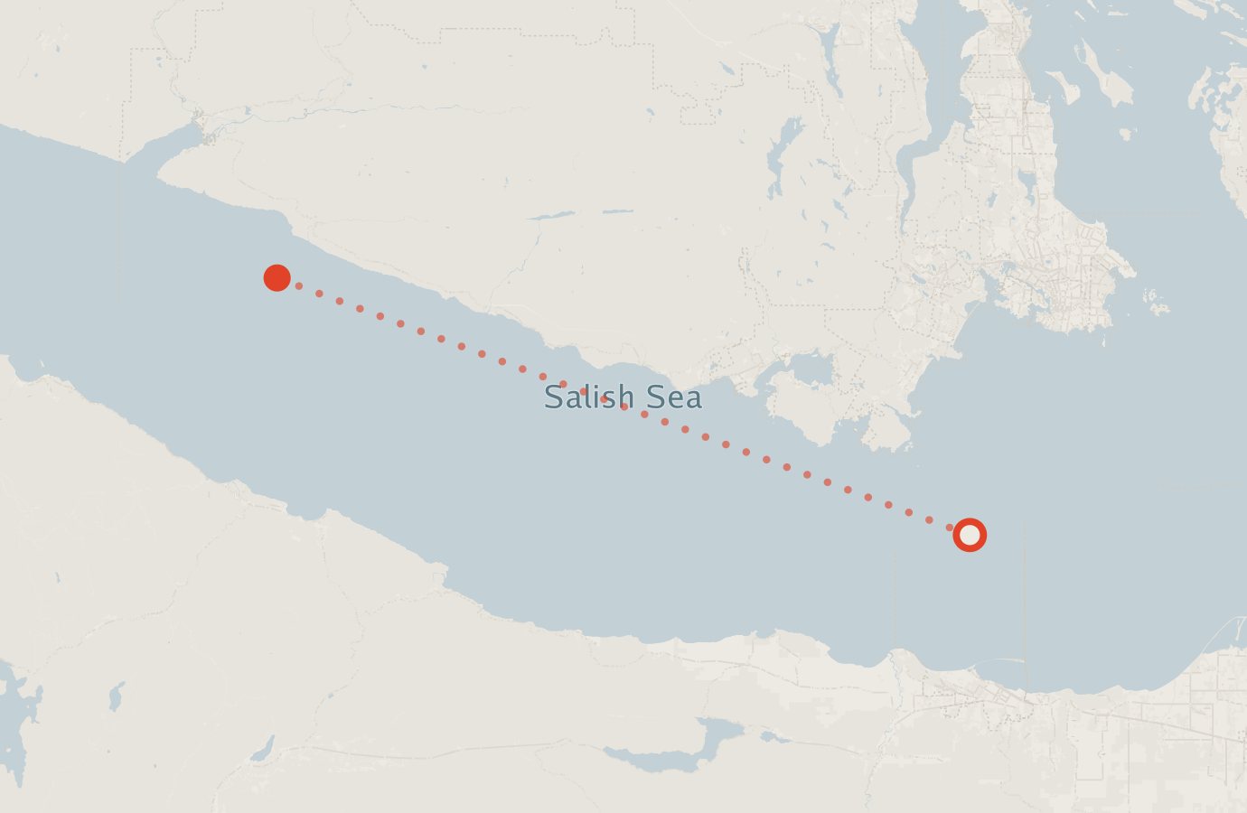 Activity map — real sighting points on an OpenStreetMap basemap