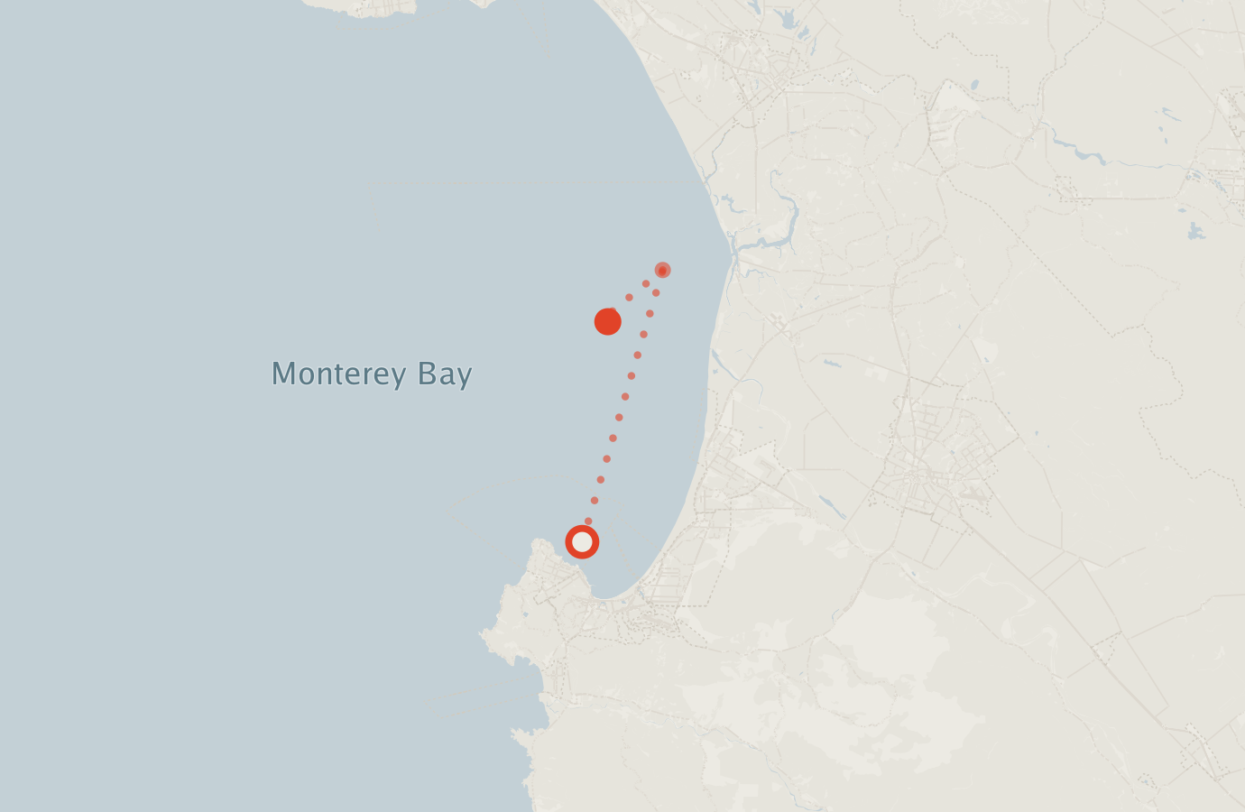 Activity map — real sighting points on an OpenStreetMap basemap
