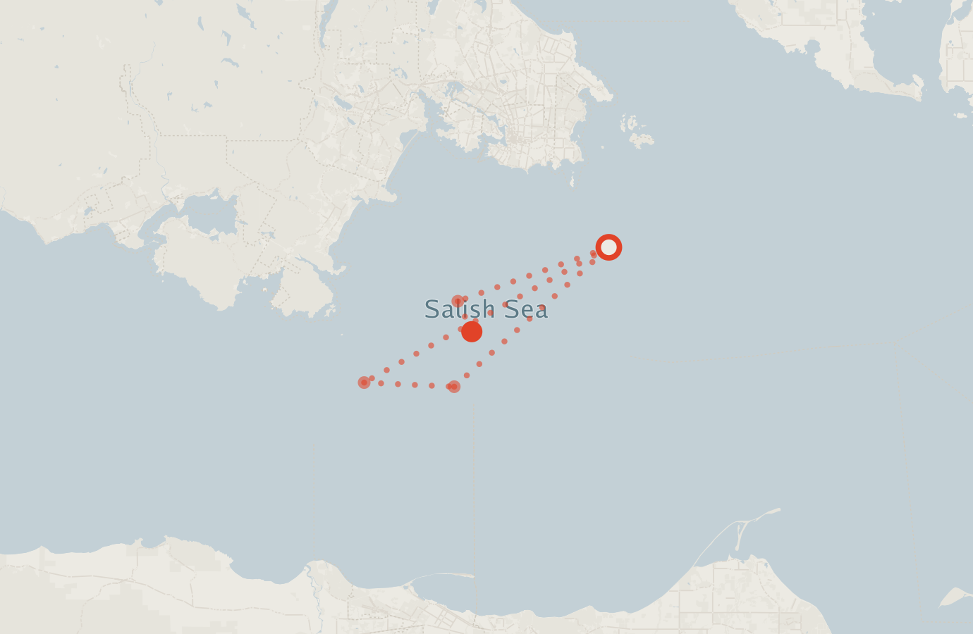 Activity map — real sighting points on an OpenStreetMap basemap
