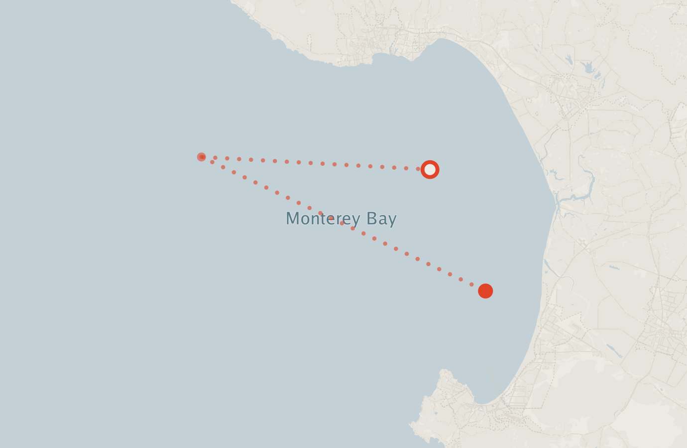 Activity map — real sighting points on an OpenStreetMap basemap