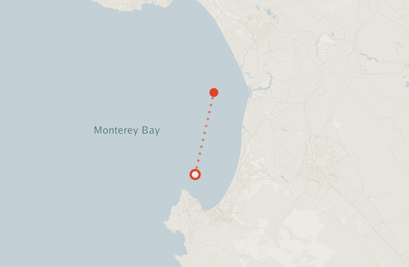 Activity map — real sighting points on an OpenStreetMap basemap