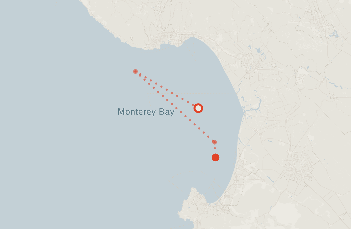 Activity map — real sighting points on an OpenStreetMap basemap