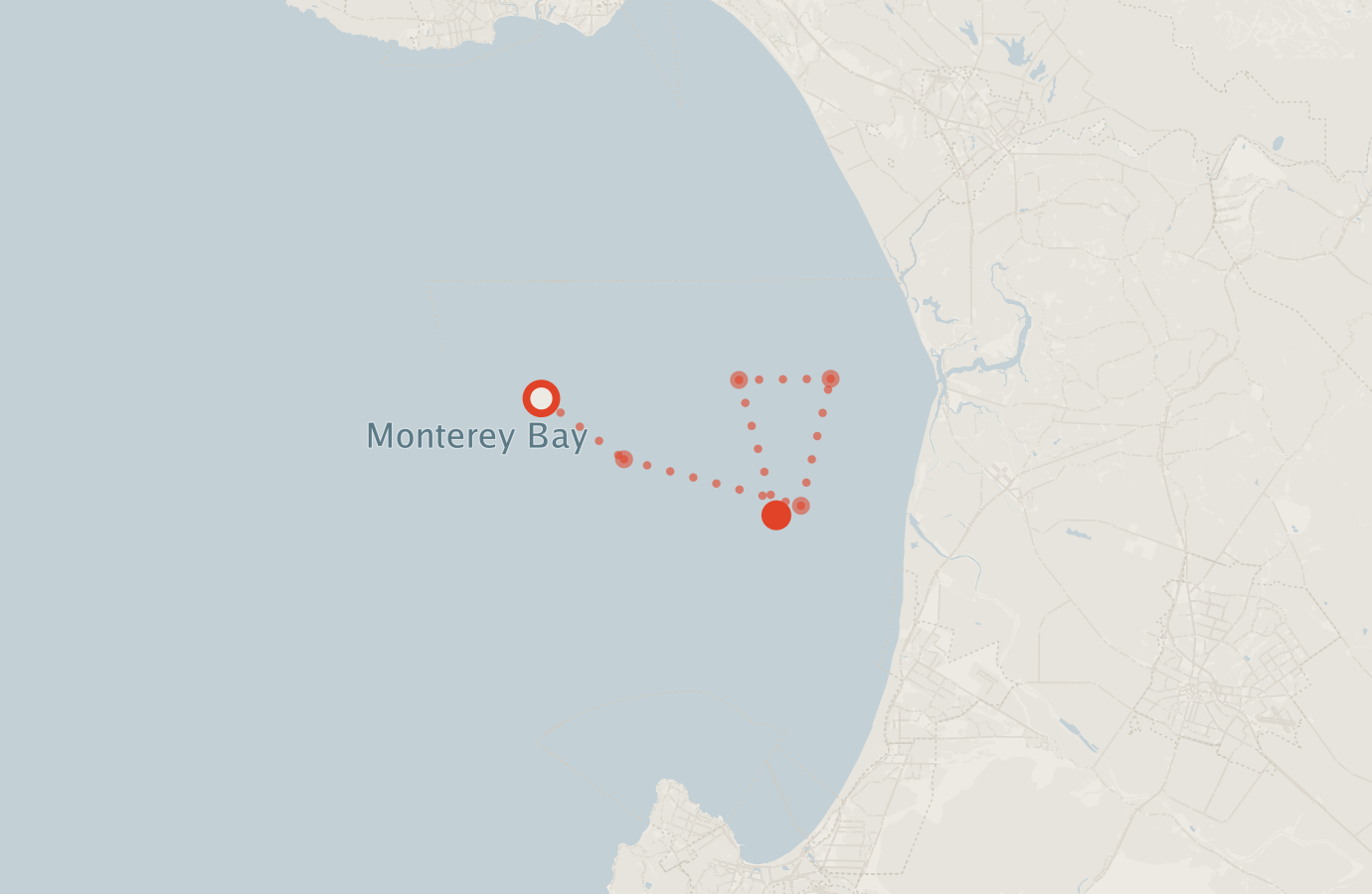 Activity map — real sighting points on an OpenStreetMap basemap