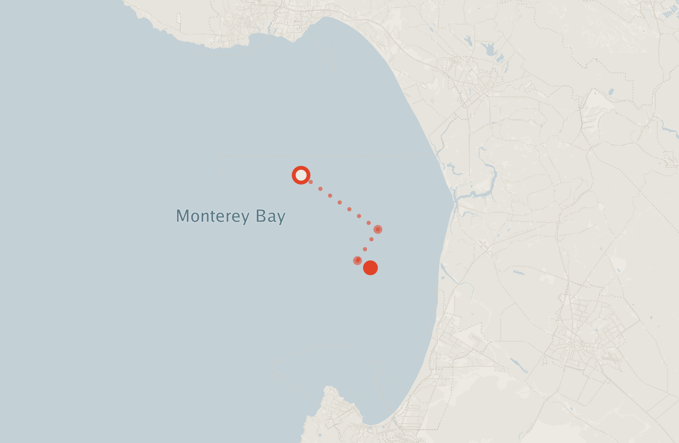 Activity map — real sighting points on an OpenStreetMap basemap