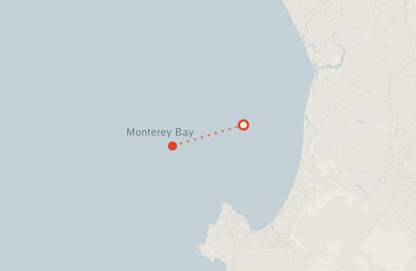 Activity map — real sighting points on an OpenStreetMap basemap