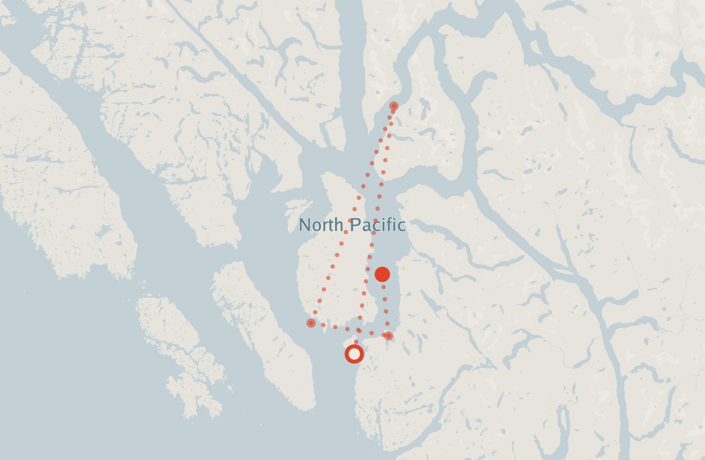 Activity map — real sighting points on an OpenStreetMap basemap