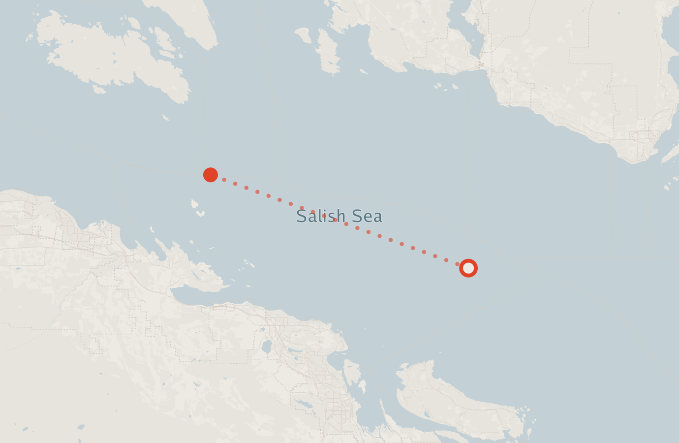 Activity map — real sighting points on an OpenStreetMap basemap