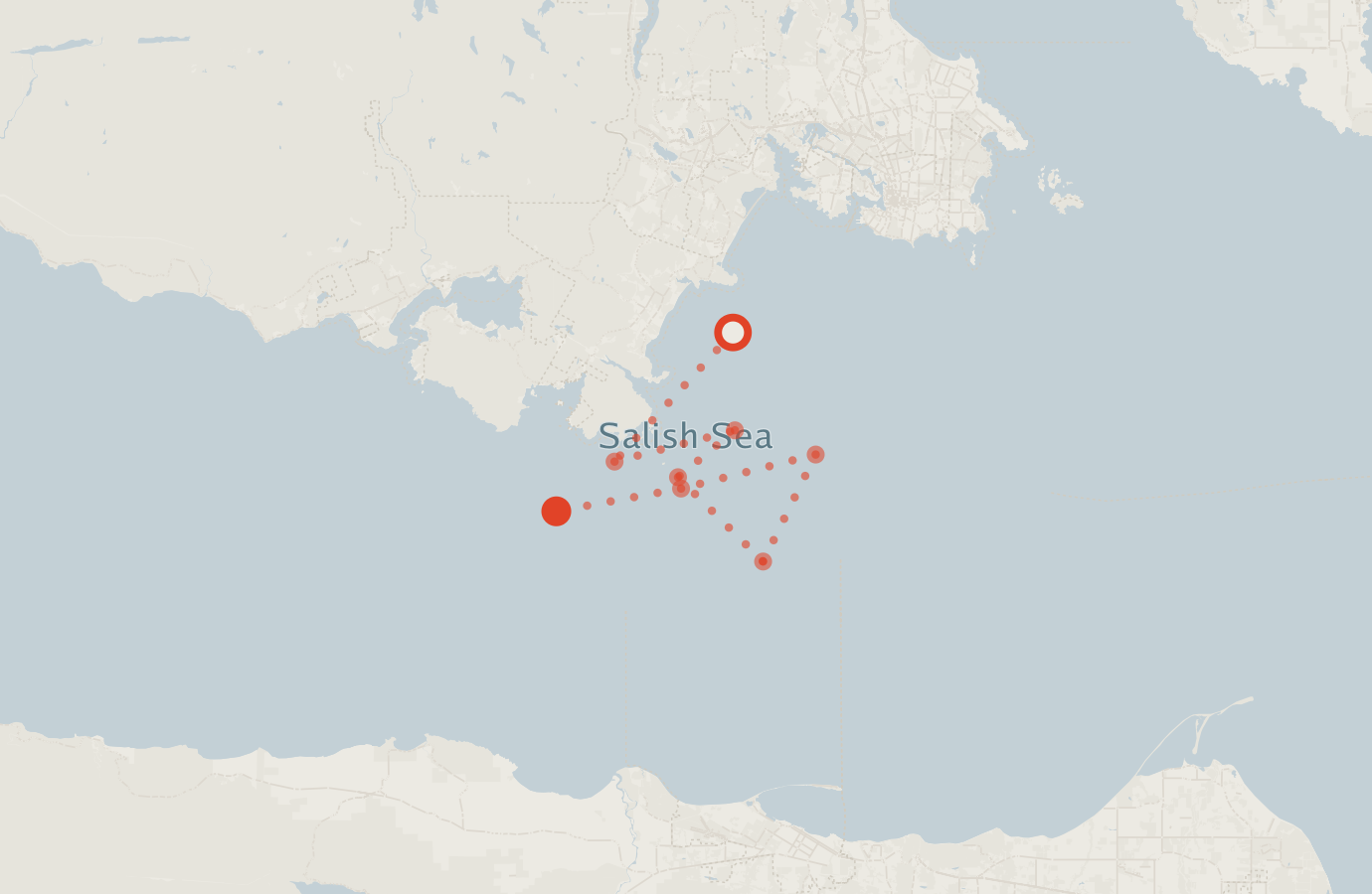 Activity map — real sighting points on an OpenStreetMap basemap