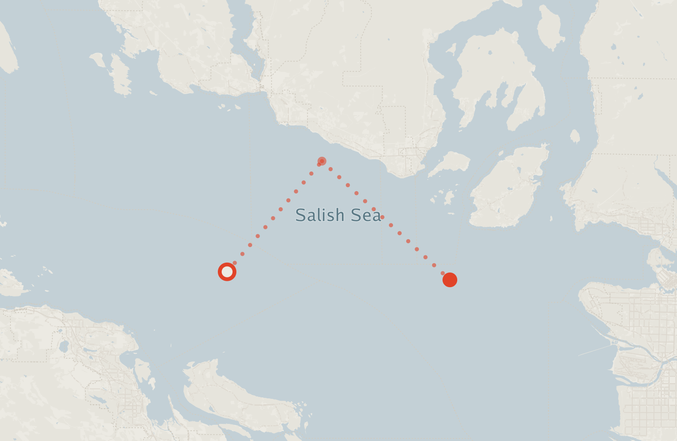 Activity map — real sighting points on an OpenStreetMap basemap