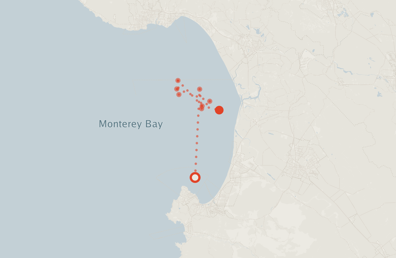 Activity map — real sighting points on an OpenStreetMap basemap