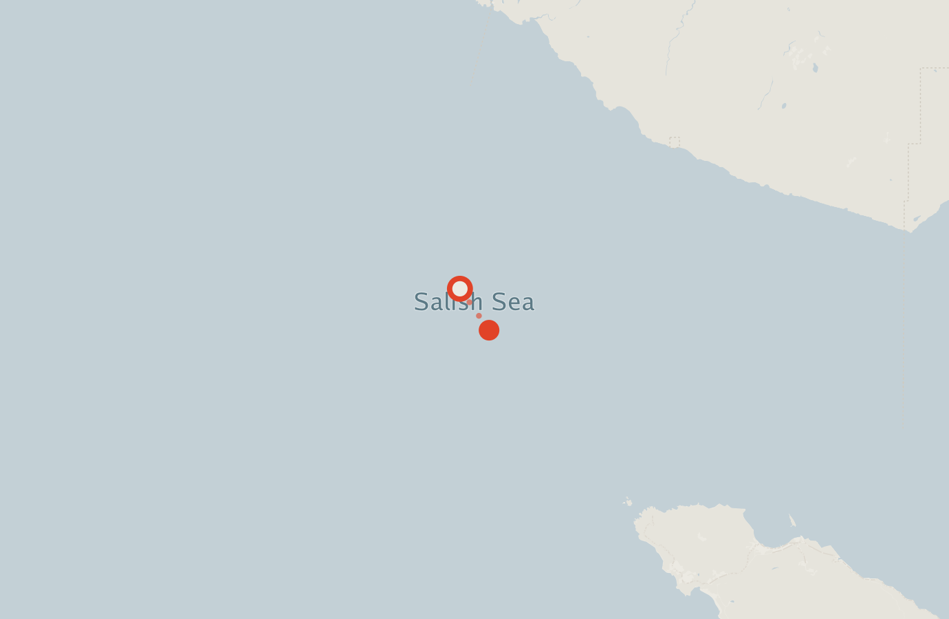 Activity map — real sighting points on an OpenStreetMap basemap