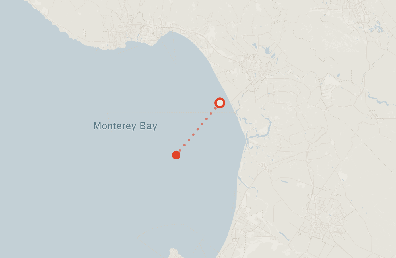 Activity map — real sighting points on an OpenStreetMap basemap