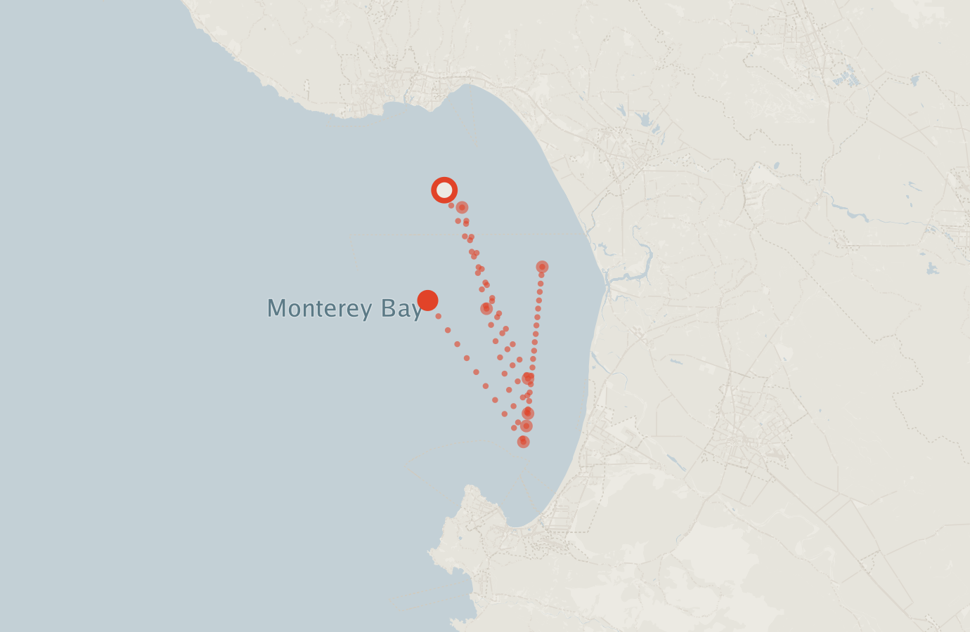 Activity map — real sighting points on an OpenStreetMap basemap