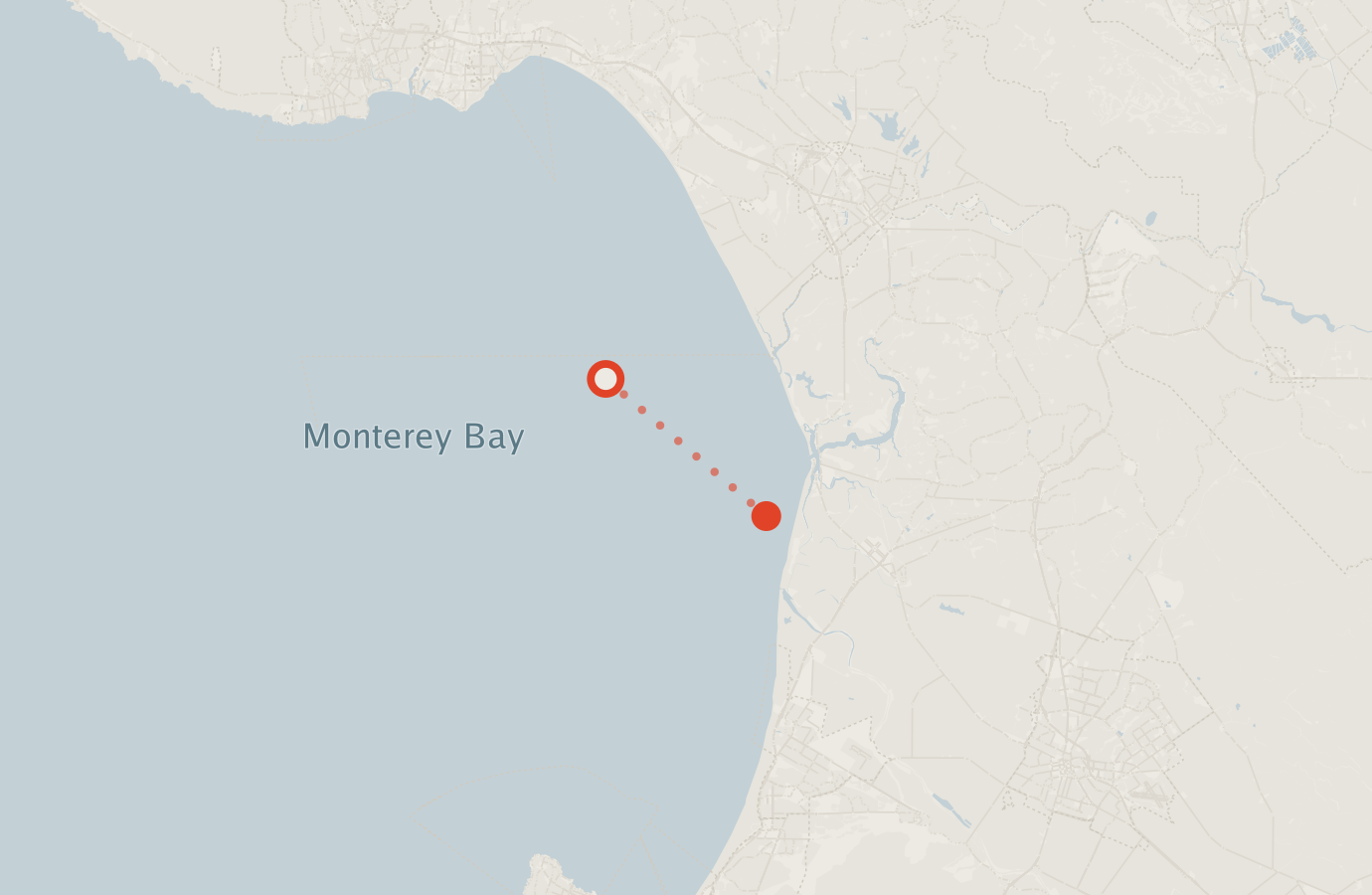 Activity map — real sighting points on an OpenStreetMap basemap