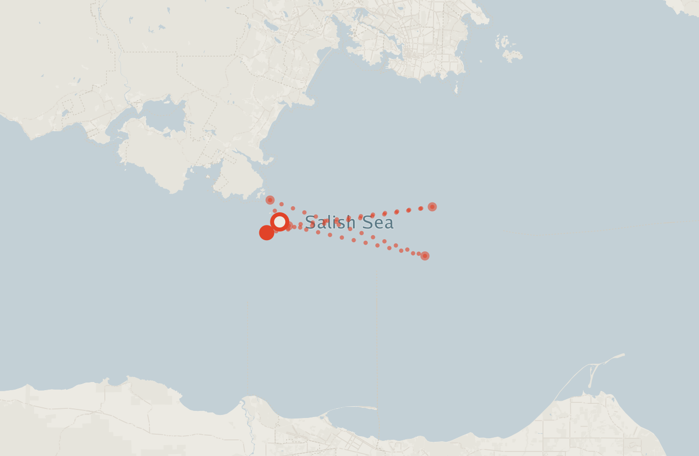 Activity map — real sighting points on an OpenStreetMap basemap