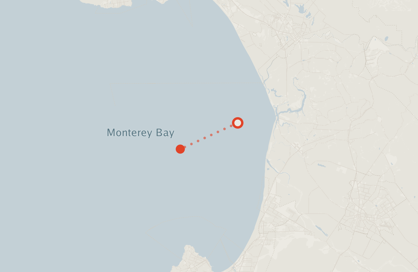 Activity map — real sighting points on an OpenStreetMap basemap