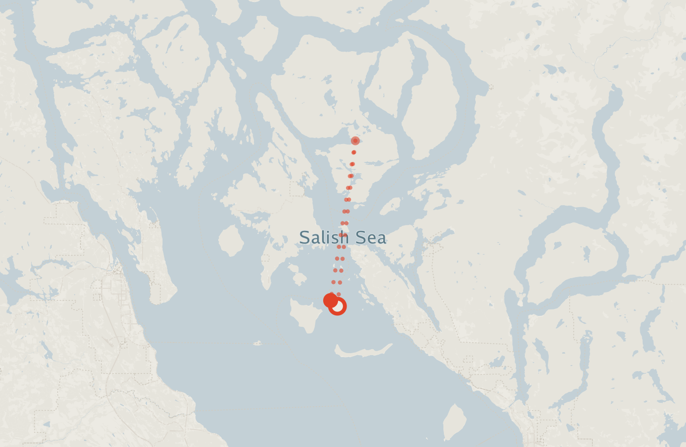 Activity map — real sighting points on an OpenStreetMap basemap