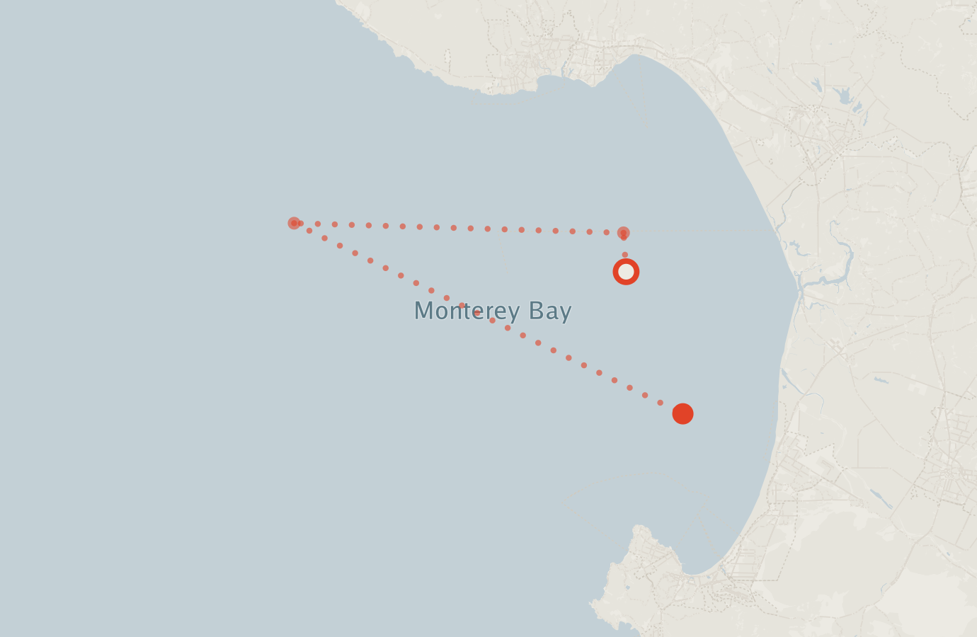 Activity map — real sighting points on an OpenStreetMap basemap