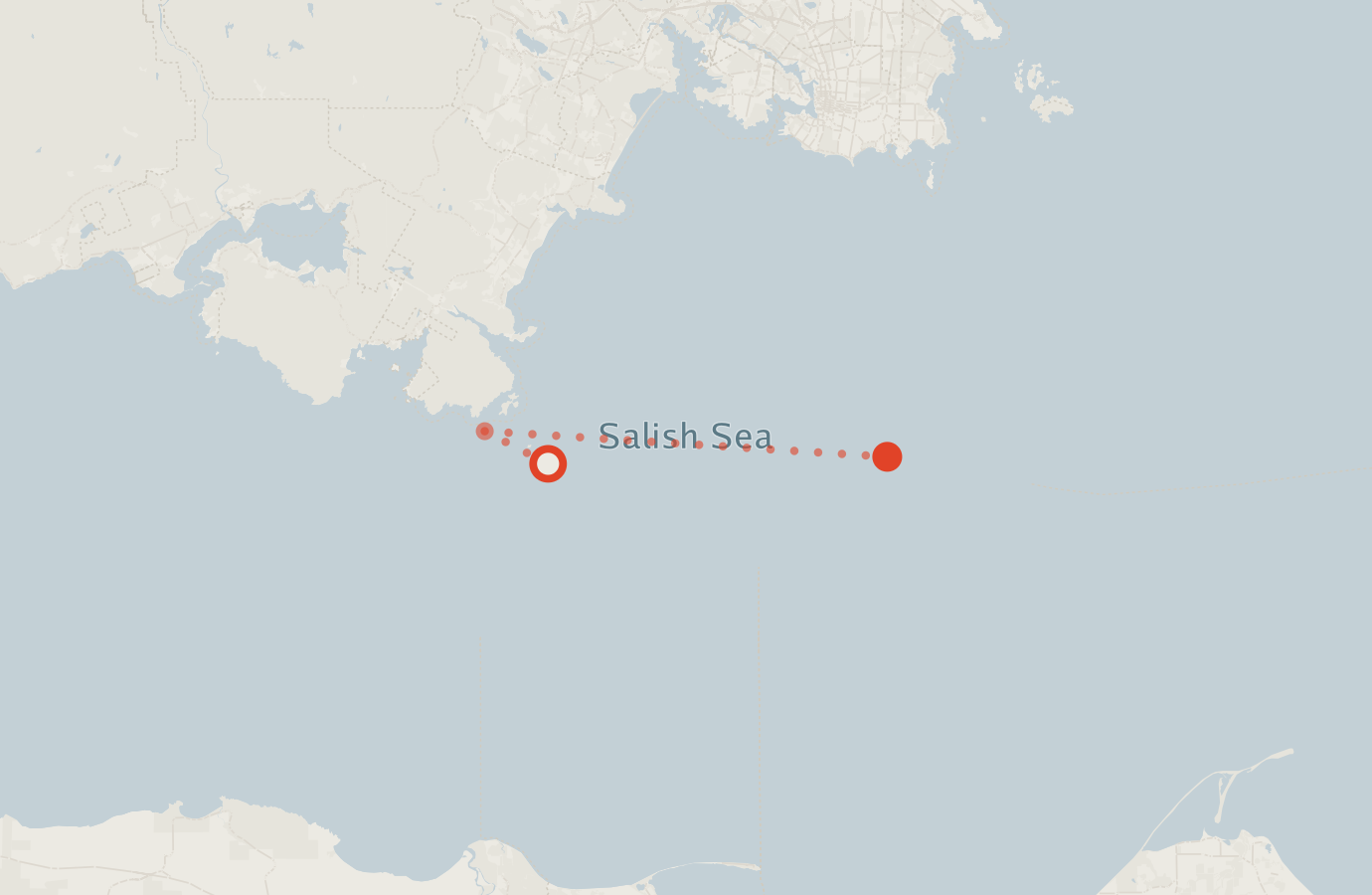 Activity map — real sighting points on an OpenStreetMap basemap