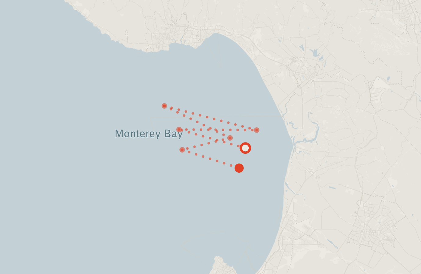 Activity map — real sighting points on an OpenStreetMap basemap