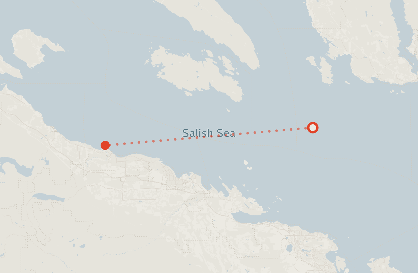 Activity map — real sighting points on an OpenStreetMap basemap