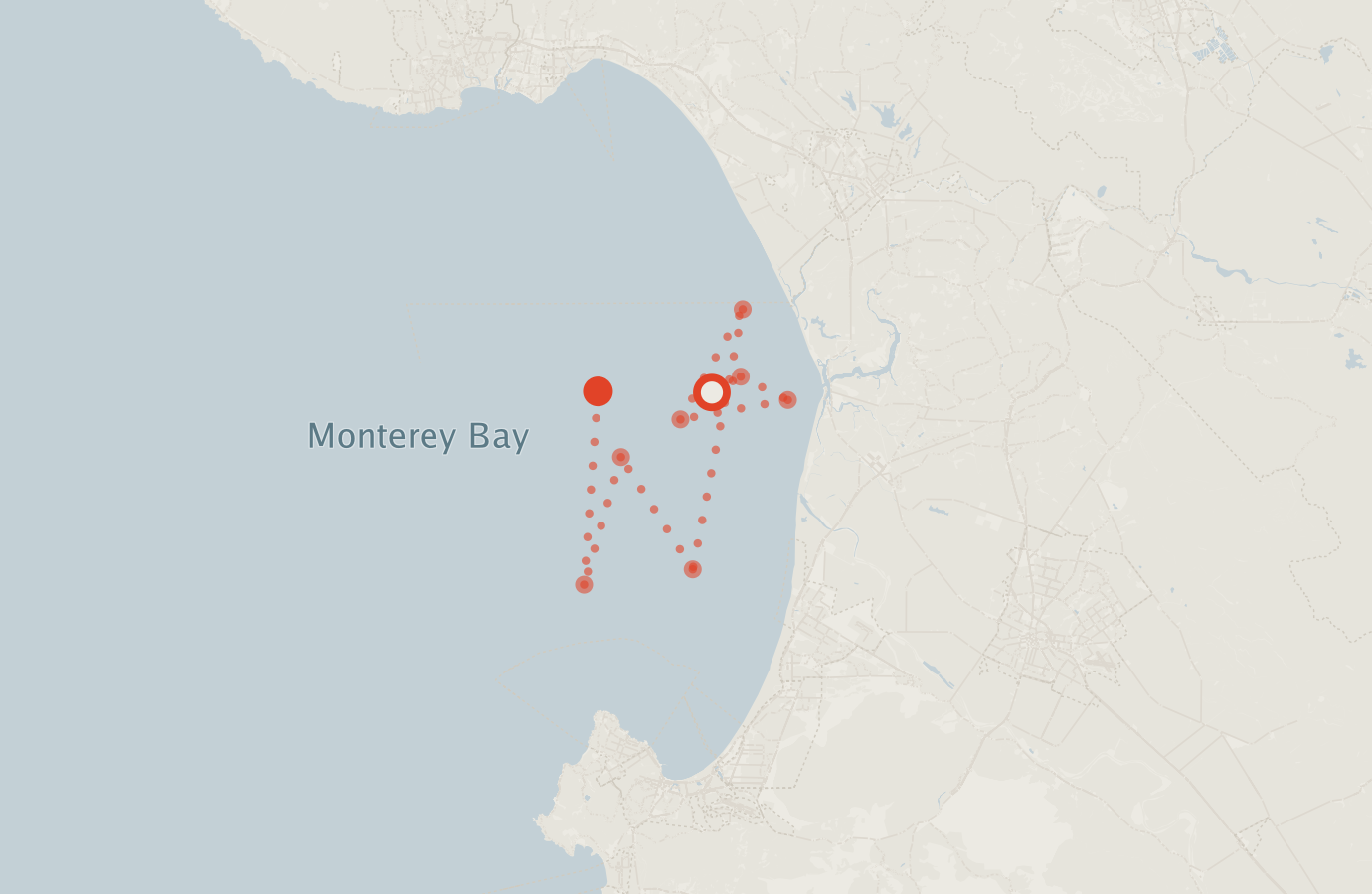 Activity map — real sighting points on an OpenStreetMap basemap
