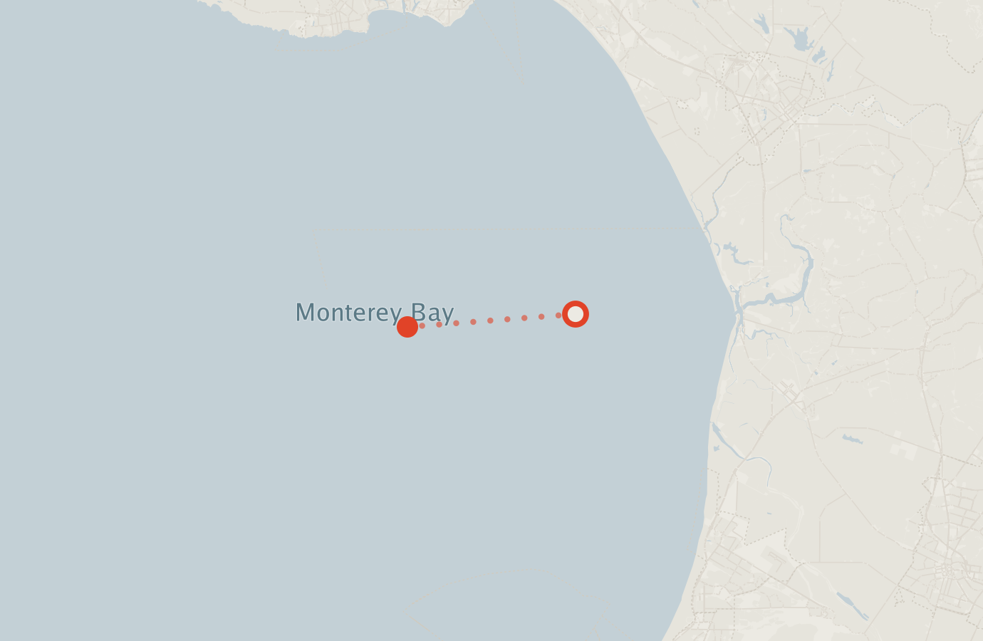 Activity map — real sighting points on an OpenStreetMap basemap