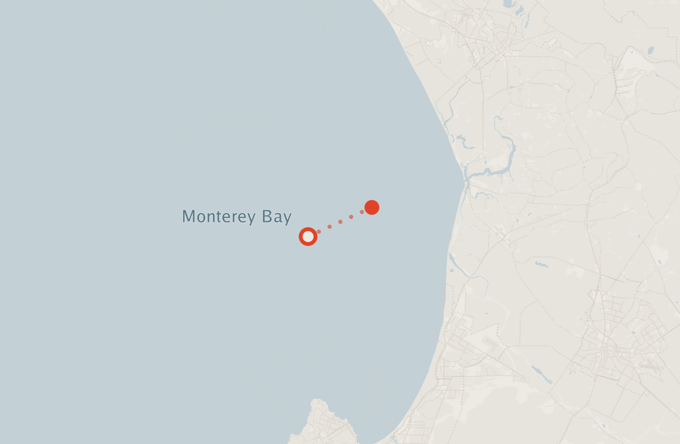Activity map — real sighting points on an OpenStreetMap basemap