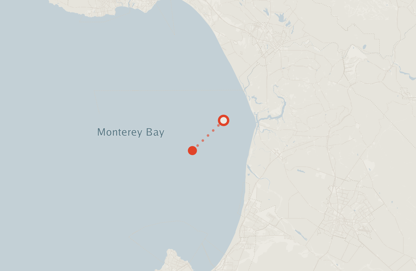 Activity map — real sighting points on an OpenStreetMap basemap