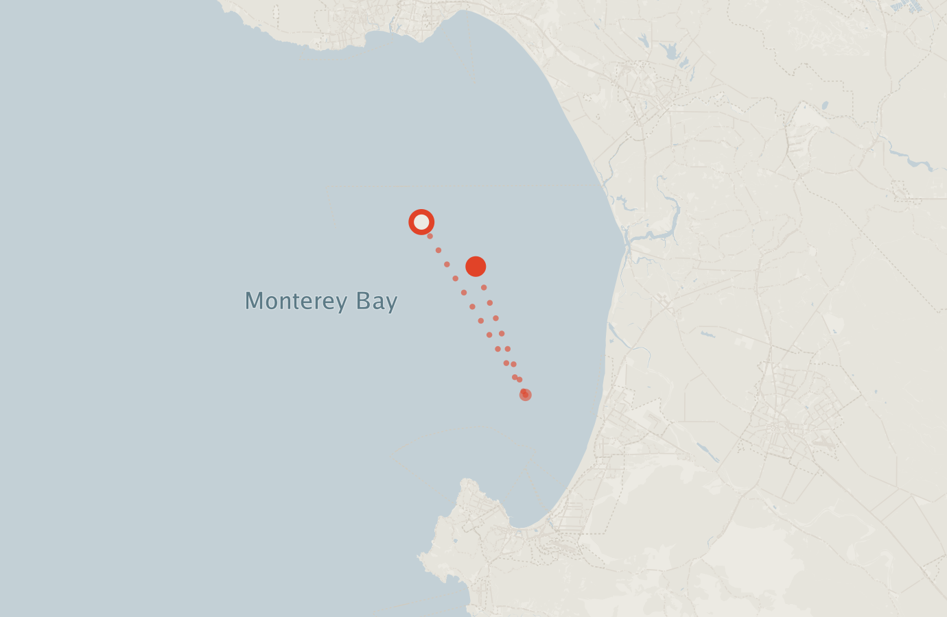 Activity map — real sighting points on an OpenStreetMap basemap